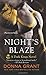 Night's Blaze: A Dark Kings Novel (Dark Kings, 5)