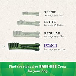 Greenies Gingerbread Flavor Large Dental Dog