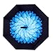 Double Layer Wind Proof,UV Proof Reverse Folding Inverted Umbrella Travel Umbrella with C Shape Handle and Carrying Bag-Blue Daisy