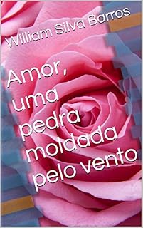 Livro Amor, uma pedra moldada pelo vento