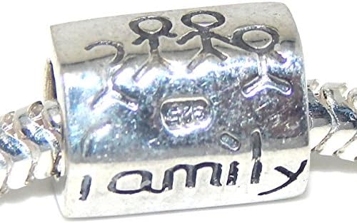925 Sterling Silver "Hexagonal Family" Charm Bead