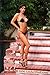 Linda O'Neil - Bikini and Lingerie Model - 24 Trading Card Set