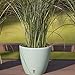 Santino, Self Watering Planter Deco 8.8 Inch, Jade, Indoor Decorative Flower Pot with Drainage Cartridge and Water Level Indicator