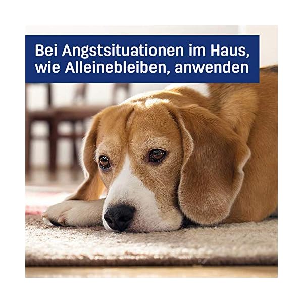 ADAPTIL-Calm-Home-30-Day-Starter-Kit-48ml ADAPTIL Calm Home Diffuser with 30 day refill - comfort, calming & anxious dog, anti-stress, White, 48 ml (Pack of 1)