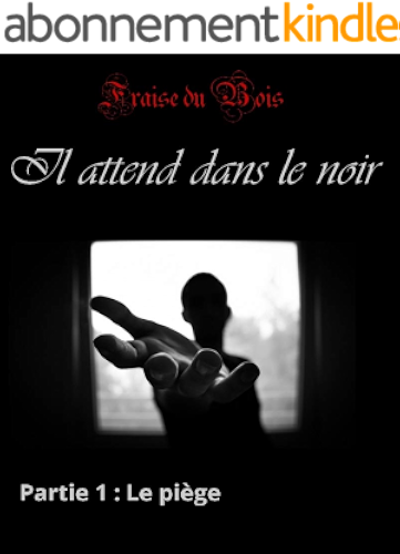 Download Il attend dans le noir - 1 : Le piège: (Livre érotique, fantastique, romance adulte, paranormal, BDSM, domination, soumission) PDF