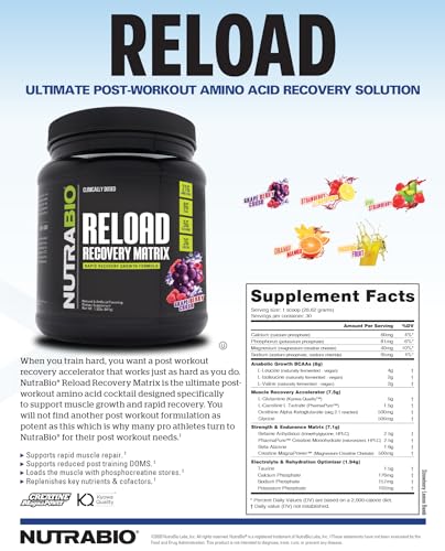 NutraBio Reload - Powerful Muscular Recovery Formula - Post-Workout Supplement - 3G Creatine - 8G BCAAs - 5G Glutamine - 30 Servings, Grape Berry Crush