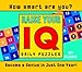 Raise Your IQ 2011 Daily Boxed Calendar (Calendar) by