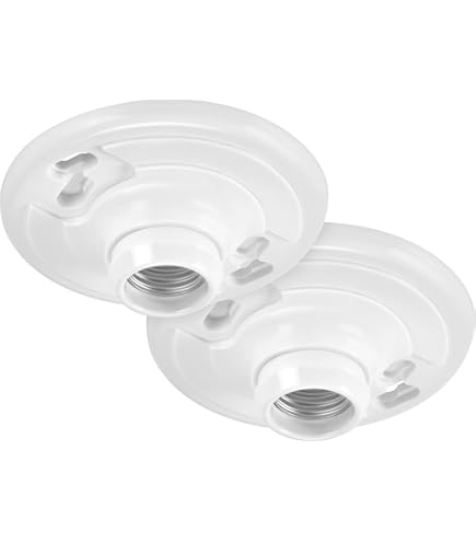 Enchufe Para Máquina De Afeitar BG NBS20G De Acero Pulido Y Doble Voltaje 115/240 V, Plateado, NPC20W