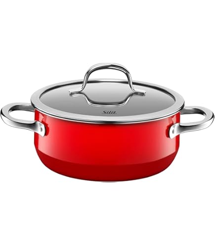 Silit Passion Red Silargan Cooking Pot Large 24 cm Glass Lid