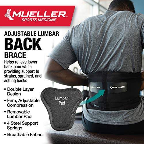 Mueller 255 Lumbar Support Back Brace with Removable Pad, Black, Regular(Package May Vary