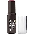 BURTS BEES Blush Bay All Aglow Lip & Cheek Stick, 0.32 OZ