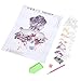 DIY 5D Diamond Painting Kit for Adults, Full Drill Acrylic Embroidery Cross Stitch Arts Craft Canvas for Living room/Bedroom/Classroom/Entrance Home Wall Decor - 11.81