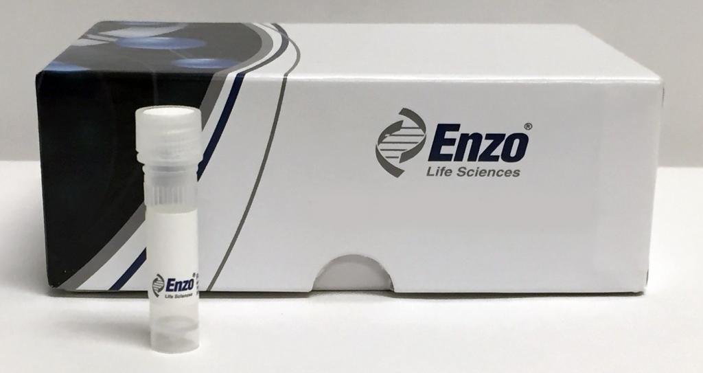 52401100 mg Hoechst 33342 (Ultra Pure), Enzo Life Sciences Each