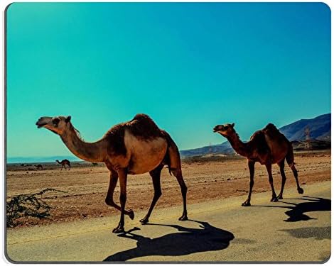 Camel Animal Salalah Oman Peninsula Arabia QZone Customized Made to Order Cloth with Neoprene Rubber Mouse Pads
