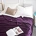 Qbedding Inc. Luxury Collection Microplush Flannel Fleece Blanket | Ultra Soft 380 GSM Lightweight All-Season Anti-Static Throw/Blanket for Sofa Couch Bed (Queen (78-Inch-by-90-Inch), Purple)