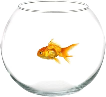Takestop Ampolla Boccia In Vetro Trasparente 30 Cm Acquario Per Pesci Pesce Rosso Centrotavola Vaschetta Vaso Porta Fiore Fiori Candela Wedding Matrimonio Confettata Confetti Caramellata Caramelle Amazon It Elettronica