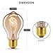 Vintage Edison Bulbs 40W/110V E26 E27 Base A19 Dimmable Antique Style Incandescent Warm White Tungsten Filament Bulb for Home, Restaurant, Coffee Shop, Hotel, Clothing Store Decoration