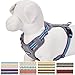 Blueberry Pet Soft & Comfy 3M Reflective Dog Harness Vest | Mesh Padded No Pull Dog Harness w/Back Clips | Multi-Colored Stripe - Violet and River Blue | Reflective Dog Harness for Large Dogs