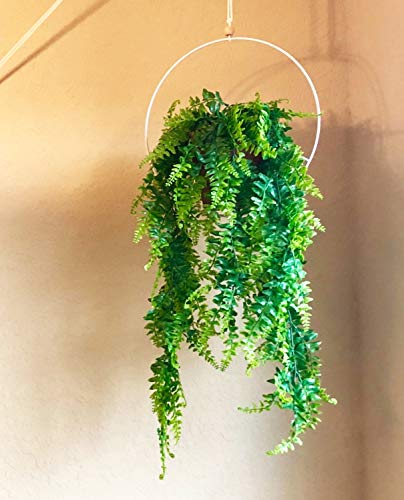 Ollain Artificial Boston Fern Vines Ferns Persian Rattan Greenery Fake Plants Faux Plant Vine Outdoor UV Resistant for Wall Indoor Hanging Garland Backdrop Arch Wall Decor (2Pcs Boston Fern Vines)