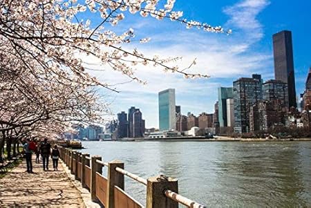 Amazon Erzanジグソーパズル 1000 ピース おしゃれルーズベルト島ニューヨーク市に咲く木完成サイズ75 50cm おもちゃ おもちゃ