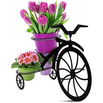 Decorative Bicycle Metal Plant Stand & Flower Pot Holder | Modern Outdoor & Indoor Plant Holder | Great Gift for Plant Lovers