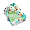 Bright-Starts-5-in-1-Your-Way-Ball-Play-Mat-Activity-Gym-with-35-Balls-12-Toys-and-20-Minutes-of-Lights-and-Music-green Bright Starts 5-in-1 Your Way Ball Play, Mat & Activity Gym with 35 Balls, 12 Toys and 20 Minutes of Lights and Music…