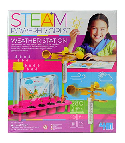 weather station toy