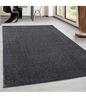 Teppich Kurzflor Modern Wohnzimmer Einfarbig Meliert Uni Gunstig