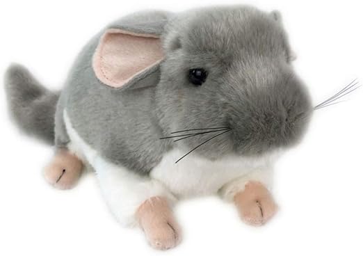 chinchilla furry