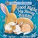 Good Night, My Honey Bunny