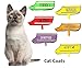 Dexil Luxury Cat Harness Padded and Water Resistant (Blue S-M)