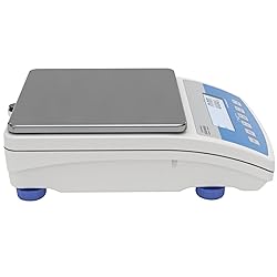 Radwag WLC 1/A2/C/2 Precision Balance
