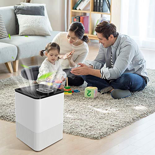 Nobebird A8 hepa-Filter-air-purifiers White