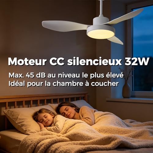 OZEANOS Ceiling Fan with Dimmable LED Light, Silent Ceiling Fan with Remote Control, 6 Speed, DC Motor, 3 Temperatures, Summer/Winter Function for Living Room and Bedroom (120cm)