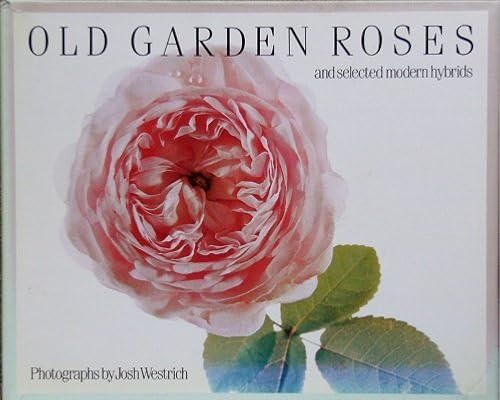 Download Old Garden Roses: And Selected Modern Hybrids PDF
