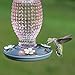 Perky Pet 8131-2 Cranberry Hobnail Vintage Glass Hummingbird Feeder