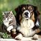 Livro Fitoterapia veterinária: Conheça o poder das plantas medicinais
