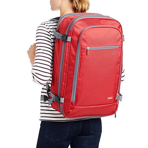 Amazon Basics CarryOn Travel Backpack Red Pricepulse