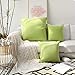 Kevin Textile Pack of 2 Outdoor Waterproof Throw Pillow Covers Spring Decorative Farmhouse Checkered Square Solid Cushion Cases for Patio Garden Porch Sofa Green 18x18 inch