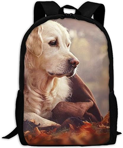 Adult Backpack Travel Hiking Labrador Toy School Multipurpose Laptop Bags Stylish Durable Daypacks