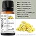 SenseLAB Helichrysum Essential Oil - 100% Pure Extract Helichrysum Oil Therapeutic Grade - Skin Care Oil - Relaxing and Soothing Oil (10 ml)