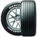 BFGoodrich Radial T/A E4 Radial Tire - 245/60R15 100SR SL, Raised White Letter, P245/60R15