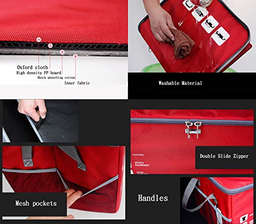 Auto Car Trunk Organizer Foldable Cover Waterproof Non Slip Bottom Cargo Storage Multiple Compartments for Any Car, SUV, Mini-van,Large Capacity 75L，Washable (Black)