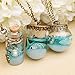 SeaISee Ocean Sea Current Bottle Starfish Shell Glass Cover Pendant Necklace