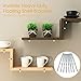 king do way 8Pcs Floating Shelf Brackets Wall Supporting Pins with Screw Hardware for Hidden Shelf Wood Shelf Wall Shelf Installation 184mm Silver 184mm