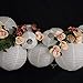 Just Artifacts Decorative Round Chinese Paper Lanterns 12pcs Assorted Sizes (Color: White)
