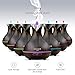 Villain Spa Ultrasonic Aroma Essential Oil Diffuser, 400 mL Wood Grain Cool Mist Humidifier with 7 Color Changing LED Lights, Mist Control, Auto Off,  8 -12 hr. Mist