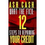 What the FICO: 12 Steps to Repairing Your Credit