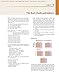 Guyton & Hall Physiology Review (Guyton Physiology)