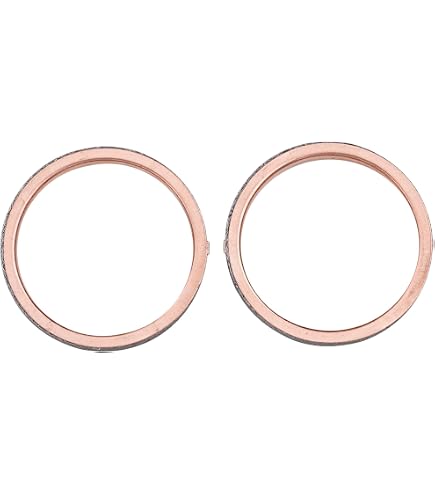 Amazon.com: Exmark 1-653290 Exhaust Gasket Lazer Z CT HP : Automotive